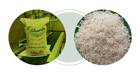 Persian rice wholesale