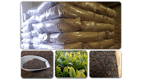 wholesale tea supplier