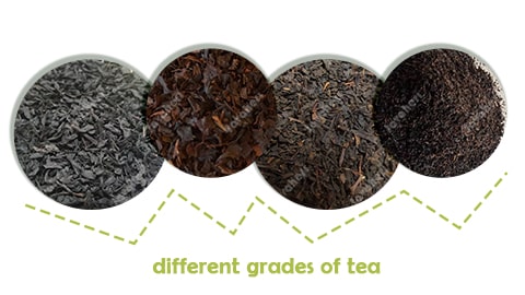 Buy types of Persian tea