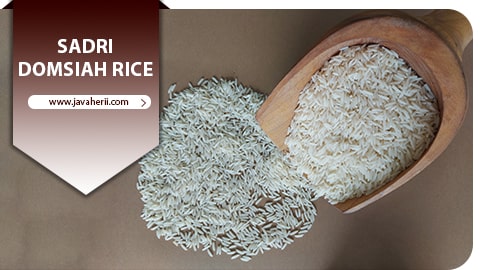 Domsiah rice | Rice dealer accurate price list 2024