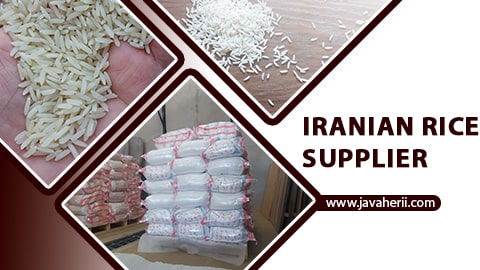 Iranian rice supplier