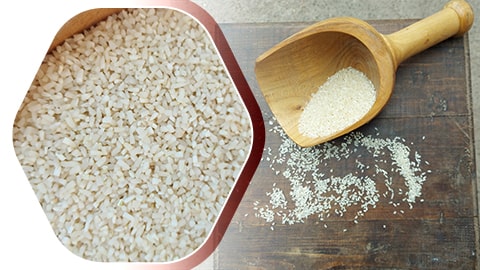 broken rice price